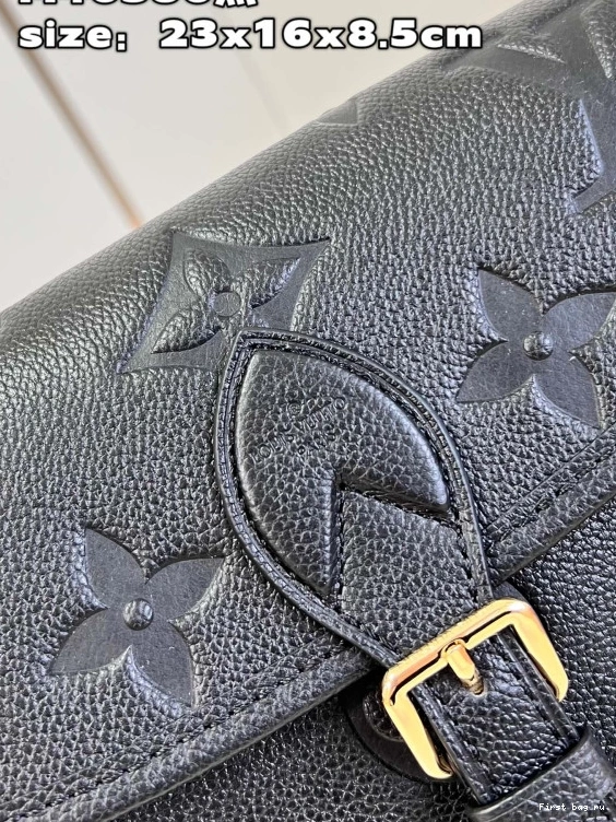 First bag ru Diane VUITTON LOUIS Nano 0810